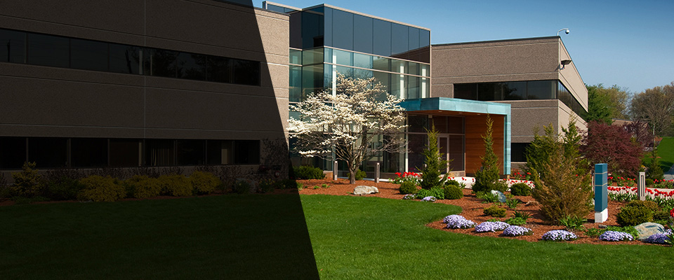 Dunnellon Landscapers