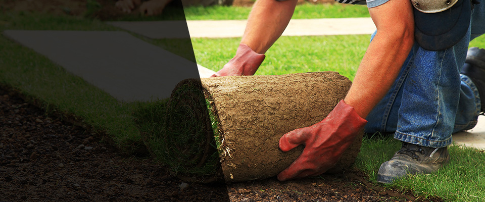 Dunnellon Landscapers